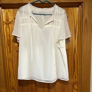 LOFT Sheer White Polka Dot Blouse